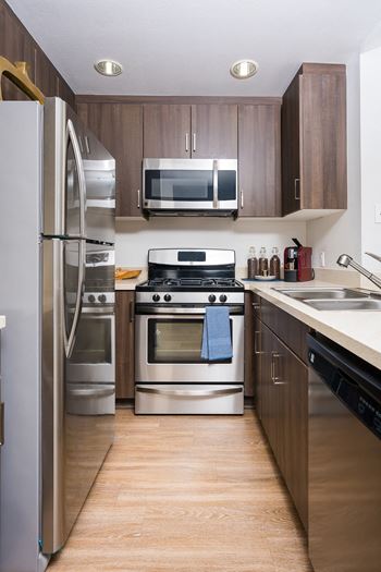 Refrigerator and kitchen appliances